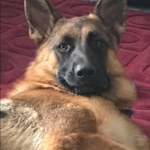 Meet your Posher, Stacey